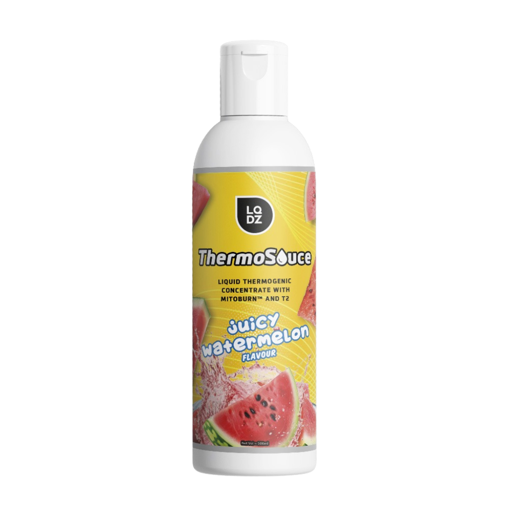 Thermo Sauce Fatburner Liquid L carnitine